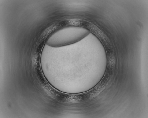 X0000111390736200908071255