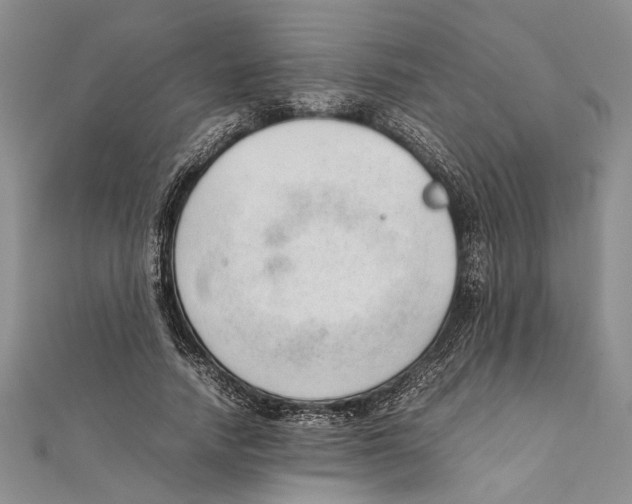X0000111390738200908071255
