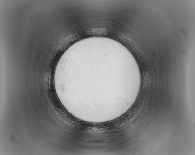 X0000111390739200908071255