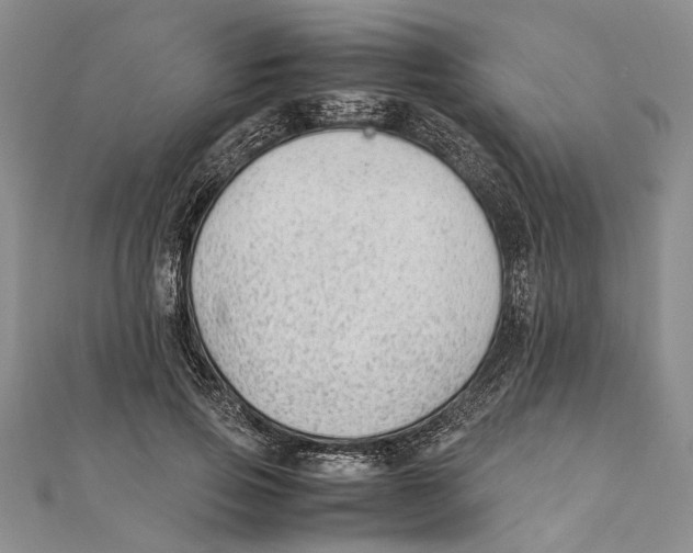 X0000111390741200908071255