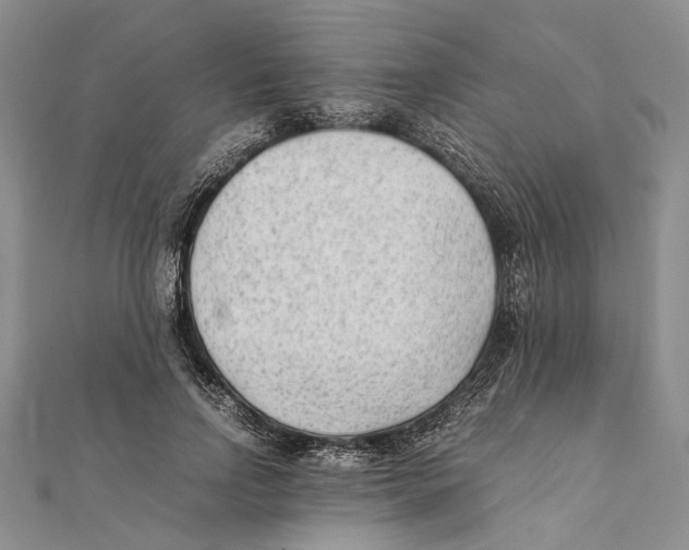 X0000111390742200908071255