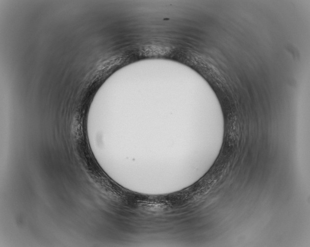 X0000111390743200908071255
