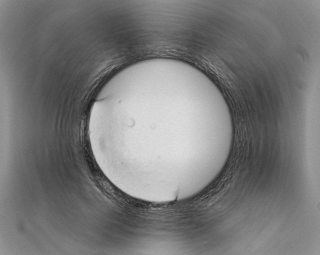 X0000111390744200908071255