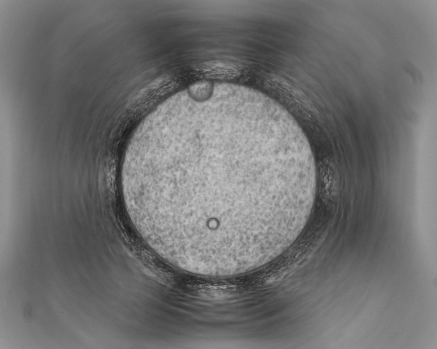 X0000111390745200908071255