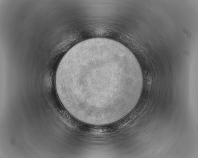 X0000111390746200908071255