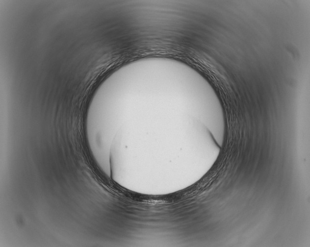 X0000111390748200908071255