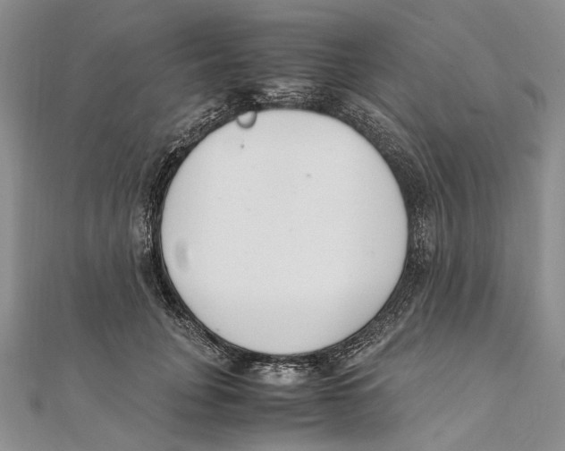 X0000111390751200908071255