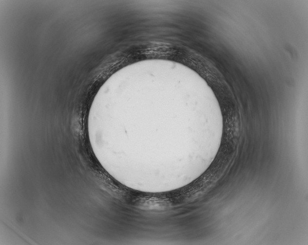 X0000111390755200908071255
