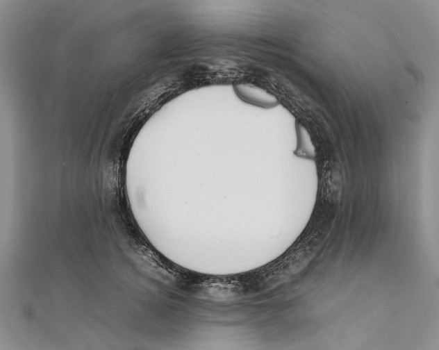 X0000111390756200908071255