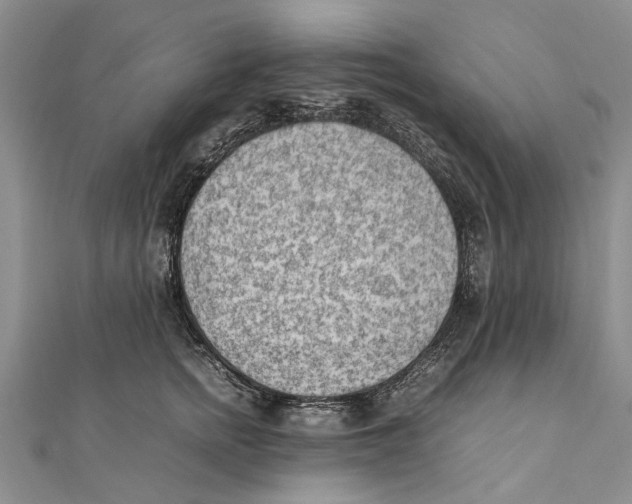 X0000111390758200908071255