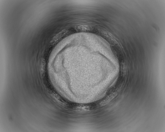 X0000111390760200908071255