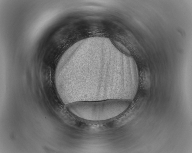 X0000111390762200908071255