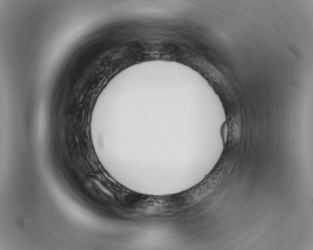 X0000111390764200908071255