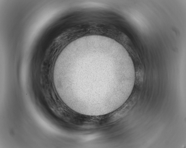 X0000111390765200908071255