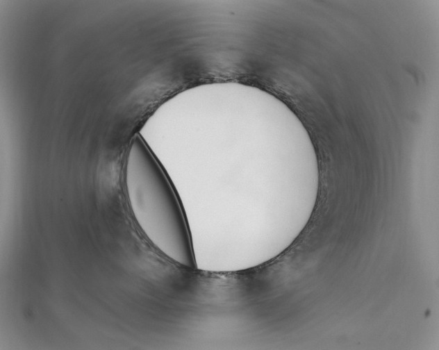 X0000111390768200908071255