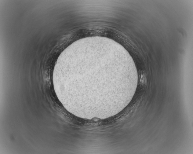X0000111390771200908071255