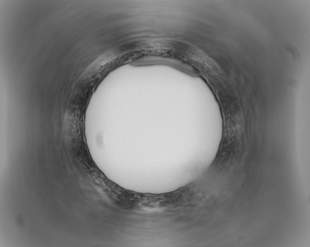 X0000111390773200908071255