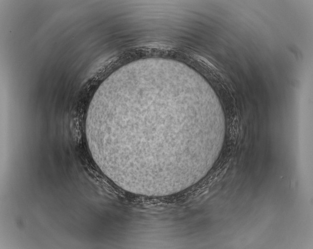 X0000111390774200908071255