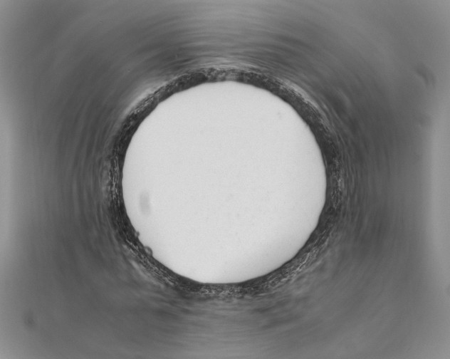 X0000111390775200908071255