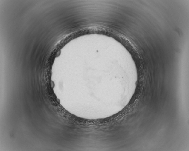 X0000111390776200908071255