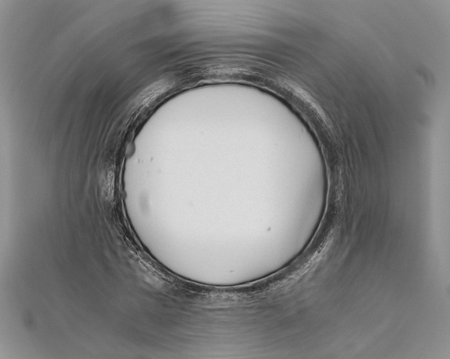 X0000111390777200908071255