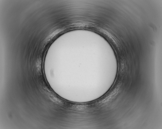 X0000111390778200908071255