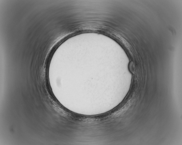 X0000111390779200908071255