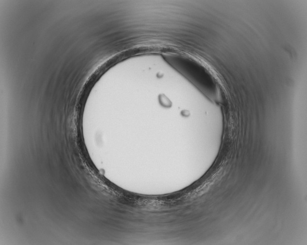 X0000111390783200908071255