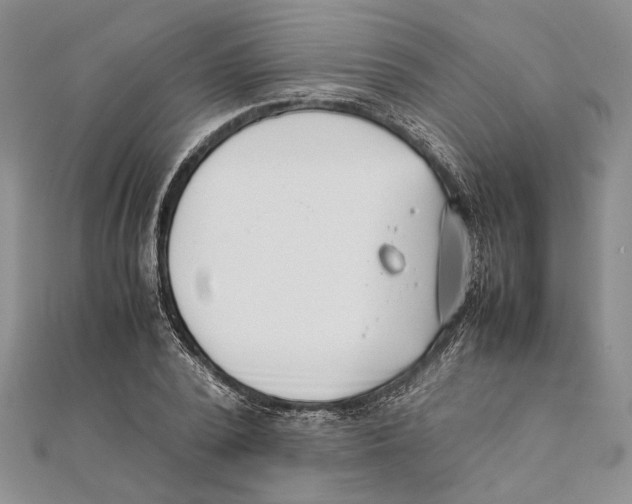 X0000111390784200908071255
