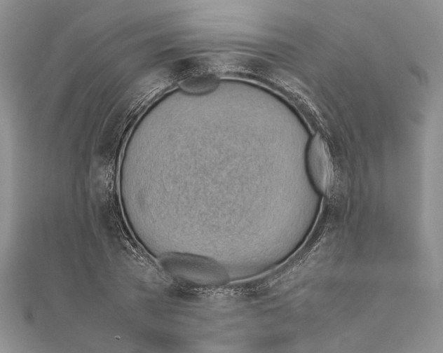 X0000111390785200908071255