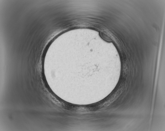 X0000111390787200908071255