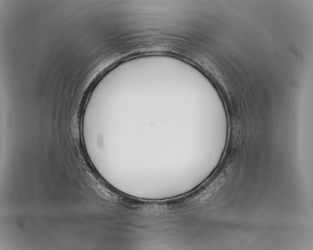 X0000111390789200908071255