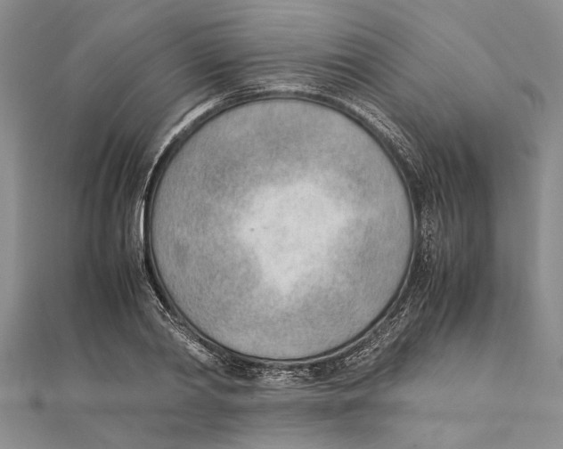 X0000111390790200908071255