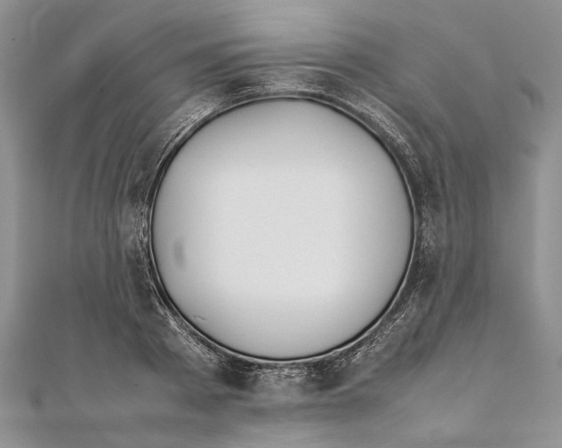 X0000111390793200908071254