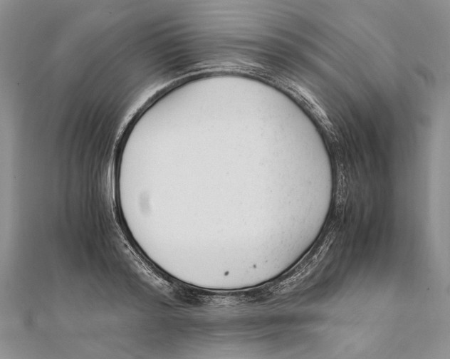 X0000111390796200908071254