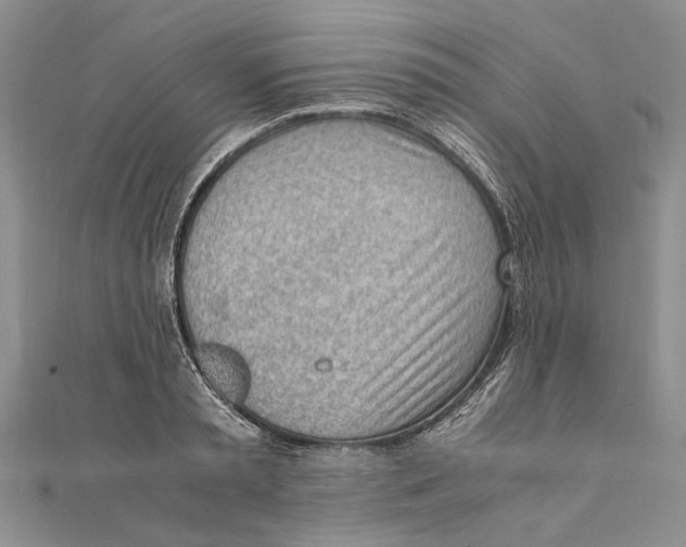 X0000111390797200908071254