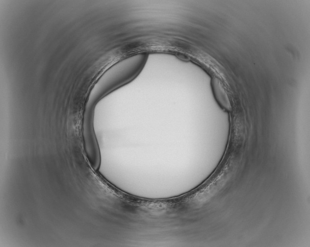 X0000111390801200908071254