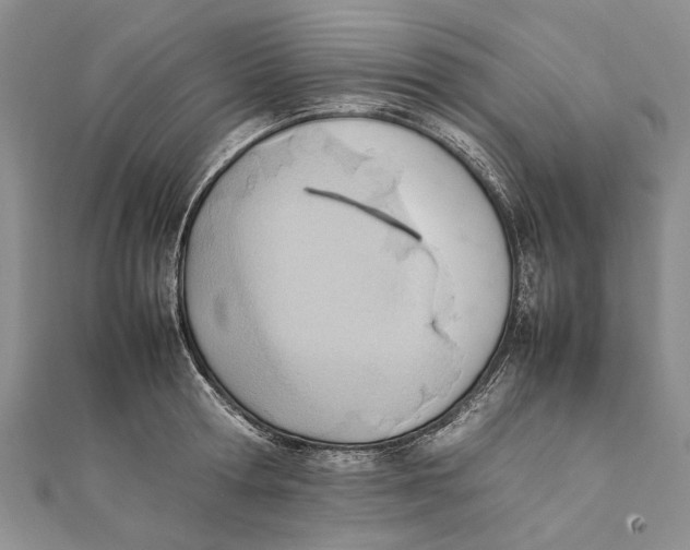 X0000111390802200908071254