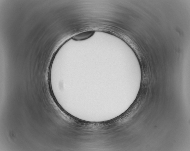 X0000111390803200908071254