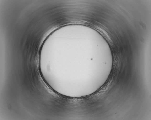 X0000111390804200908071254