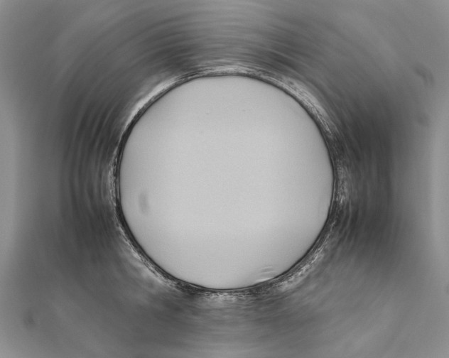 X0000111390806200908071254