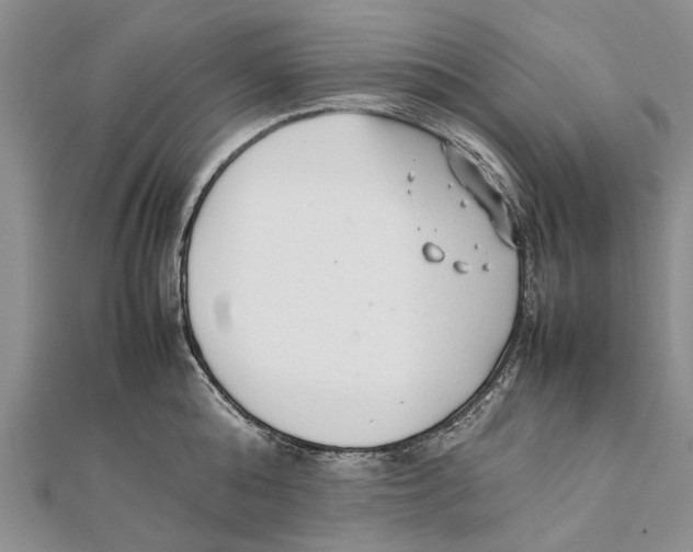 X0000111390808200908071254