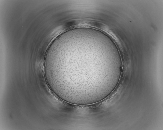 X0000111390809200908071254