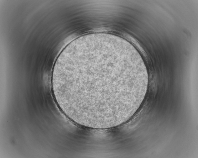 X0000111390810200908071254