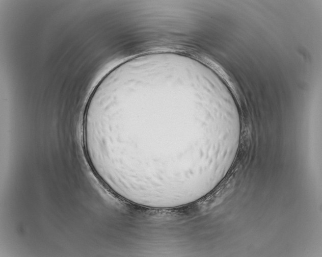 X0000111390811200908071254