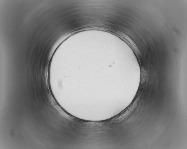 X0000111390812200908071254