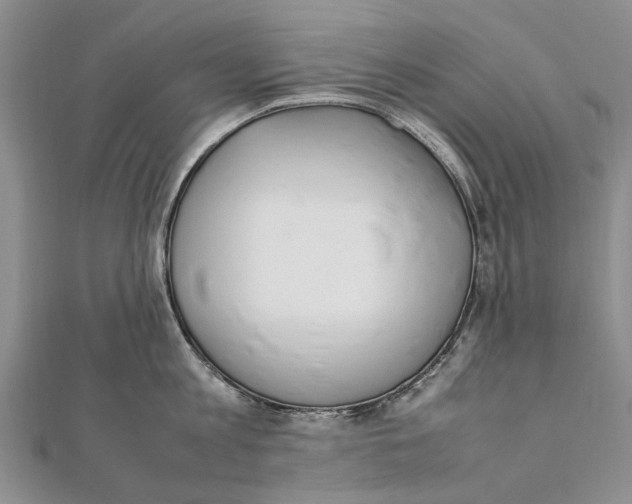X0000111390813200908071254