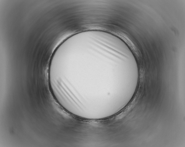 X0000111390814200908071254
