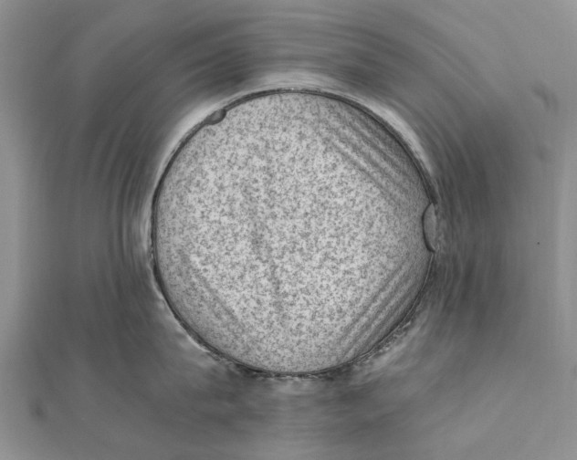 X0000111390815200908071254