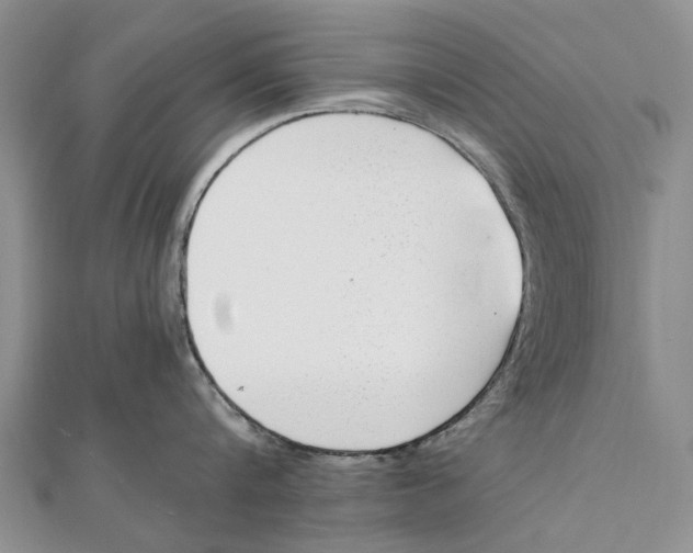 X0000111390816200908071254